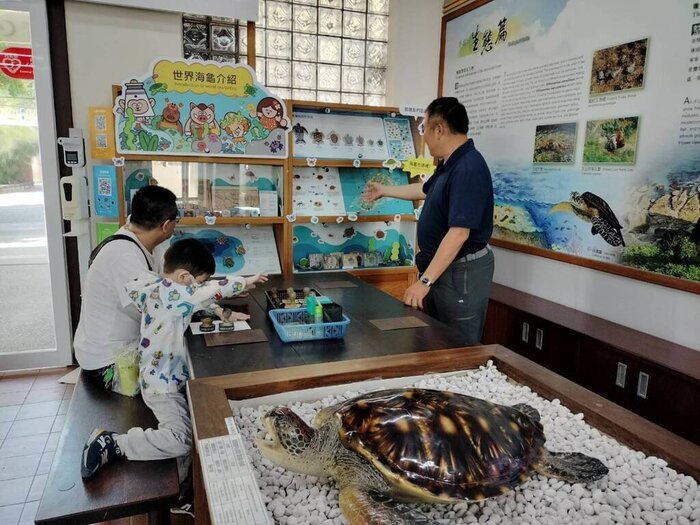 鵬管處與南應大合力打造小琉球「世界海龜介紹」櫥窗圖片