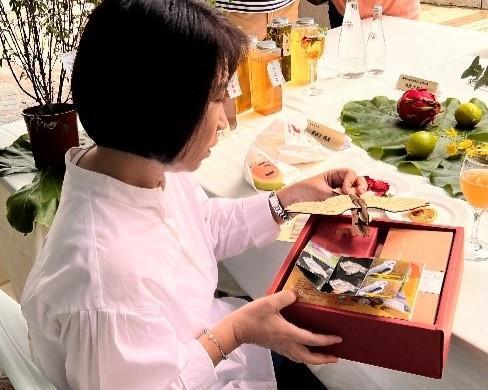 「黑翅鳶生態教材」圖片